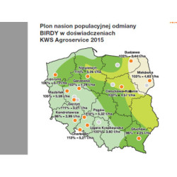 Rzepak ozimy BIRDY KWS 3ha - nasiona rzepaku NOWOŚĆ