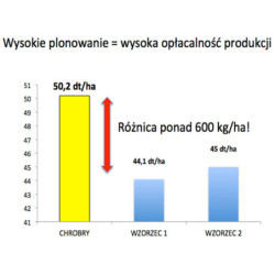 Rzepak ozimy CHROBRY 3ha  - nasiona rzepaku