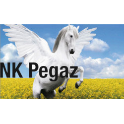 Rzepak ozimy NK PEGAZ 3ha - nasiona rzepaku