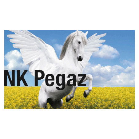 Rzepak ozimy NK PEGAZ 3ha - nasiona rzepaku