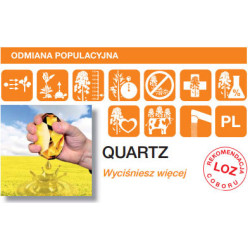 Rzepak ozimy QUARTZ KWS 3ha - nasiona rzepaku