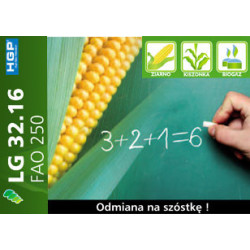 Nasiona kukurydzy LG 32.16 (FAO 250) Limagrain 3216