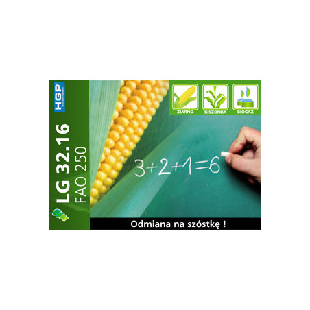 Nasiona kukurydzy LG 32.16 (FAO 250) Limagrain 3216