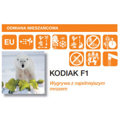 Rzepak ozimy KODIAK F1 1,5mln KWS - hybryda