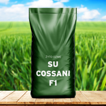 Żyto ozime SU COSSANI F1