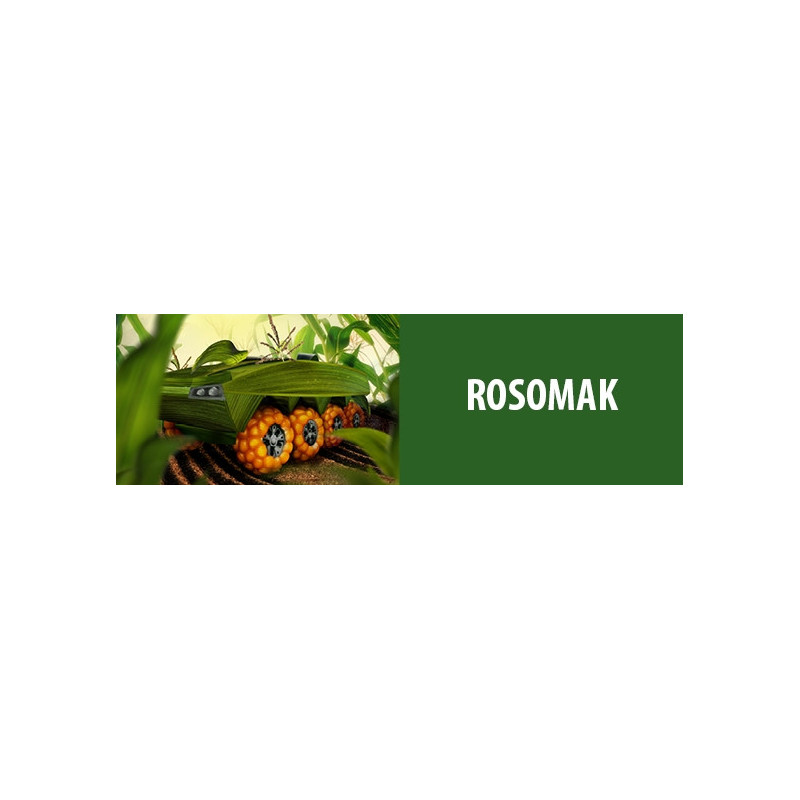 Nasiona kukurydzy ROSOMAK FAO 250-260