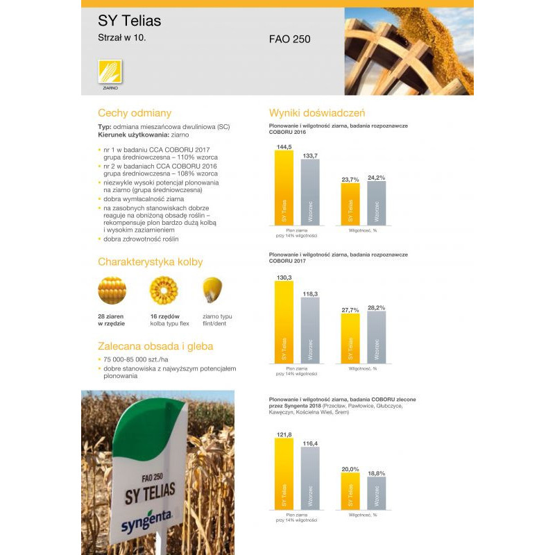 Nasiona kukurydzy SY Telias  (FAO 250) Najlepsza na ziarno