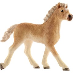 Źrebię Haflinger