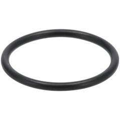 Pierścień uszczelniający o-ring