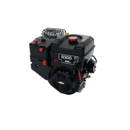 Silnik 25M137F,BR0001 2100 seria snow OHV B&S