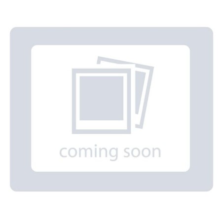 Gasket, Muffler (B)