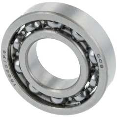 Bearing