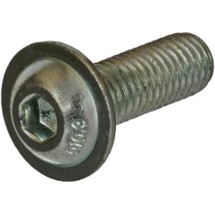 Wkręt grzybkowy M5x20 mm kl. 10.9 ocynk