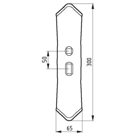 Redliczka 300x65x8 mm obracalna wzmocniona wygięta, 2-otw.