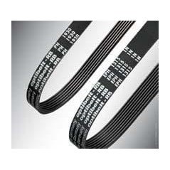 Ribbed Belts