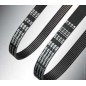 Ribbed Belts