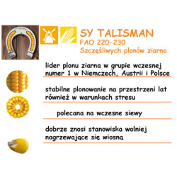 254086- Nasiona kukurydzy SY TALISMAN TALIZMAN Syngenta FAO