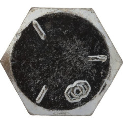 Śruba