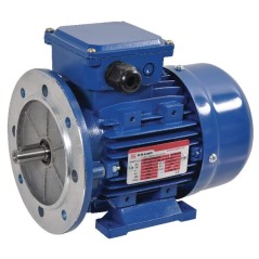 Silnik elektryczny 0.55 kW