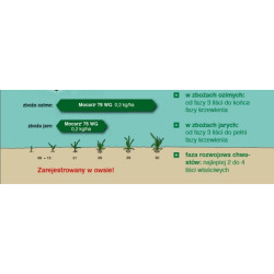 252723- Mocarz 75 WG 200G na kukurydzę Środek Chwastobójczy