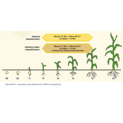 252723- Mocarz 75 WG 200G na kukurydzę Środek Chwastobójczy