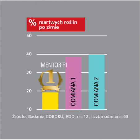 Rzepak ozimy MENTOR F1 1,5 mln Rapool NPZ - nasiona rzepaku