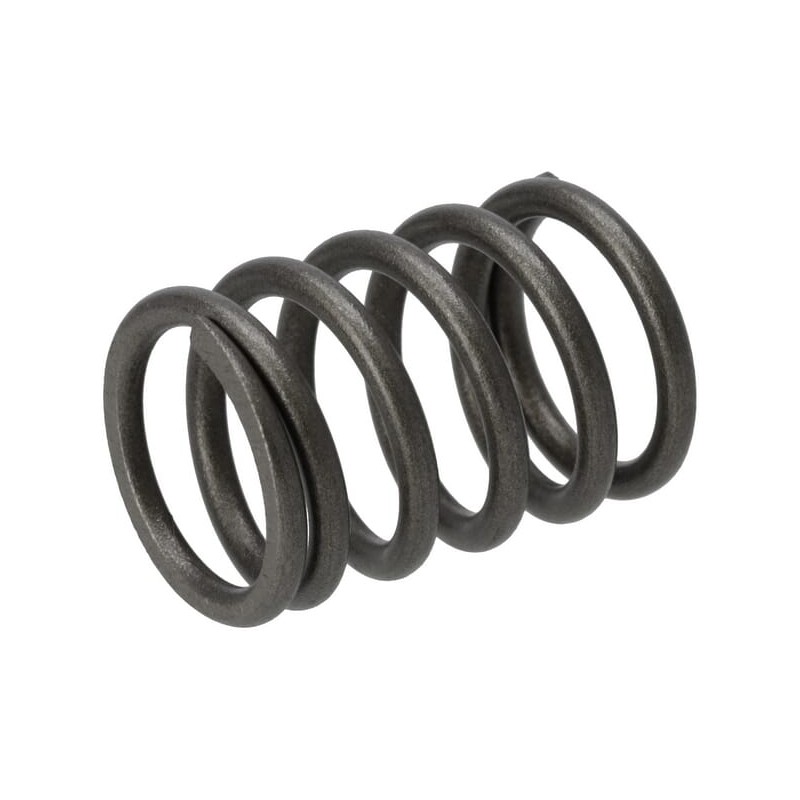 Valve spring