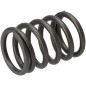 Valve spring