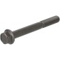 Cylinder head bolt