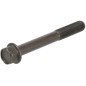 Cylinder head bolt