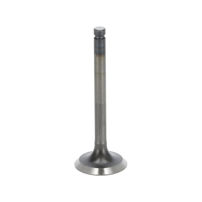 Exhaust valve