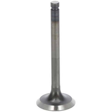 Exhaust valve