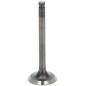 Exhaust valve