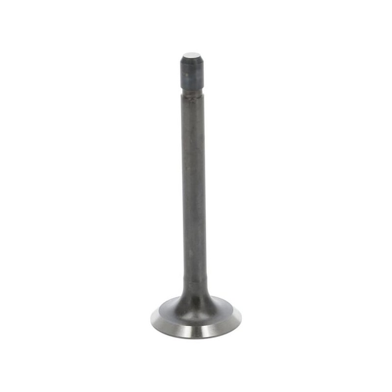 Exhaust valve