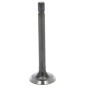 Exhaust valve