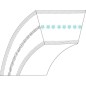 Belt poly v