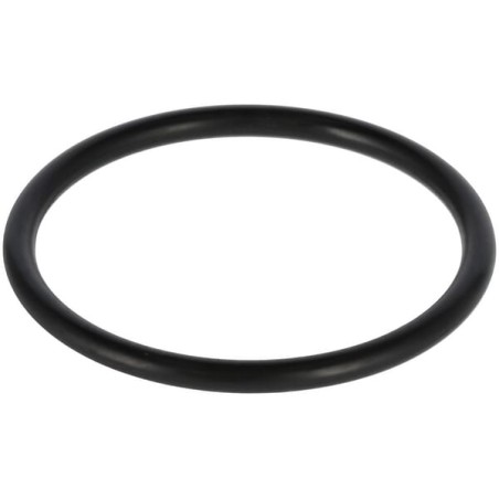 O-ring 1A G40.0