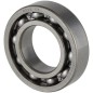 Bearing 6005 C3