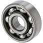 Bearing 6302 DUC3