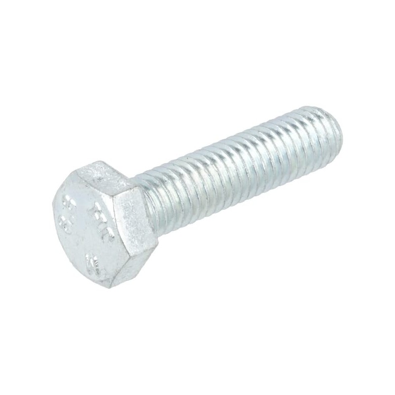 Cap Screw / Screw, Hex Head, Metric