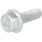 Screw / Screw, Flanged, Metric