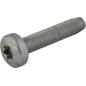 Screw / Duo Taptite Cm 6,0X30