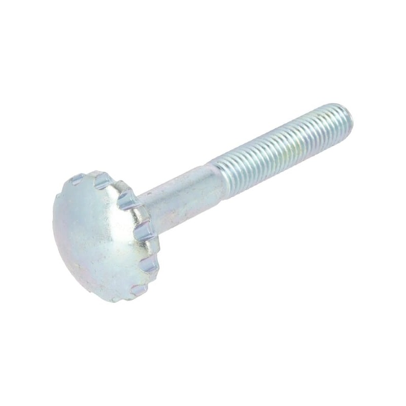 Screw / Einstellschraube