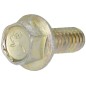 Screw-hex  wz lock fl