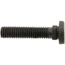 745030790 Śruba M10x46 mm Dacromet