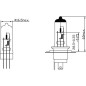 Żarówka 12V 60/55W H4 P43t