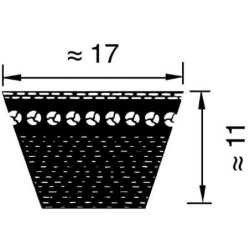 Pas klinowy uzębiony BX/17 x 1056 Ld