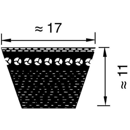 Pas klinowy uzębiony BX/17 x 876 Ld