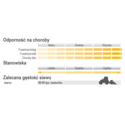 579 Nasiona kukurydzy RGT Synfonix FAO 230-240 RAGT