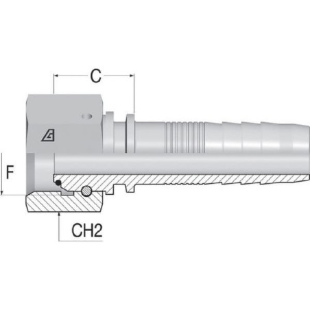 "Końcówka węża DKR-NS BSP, DN25 1-1/4"""